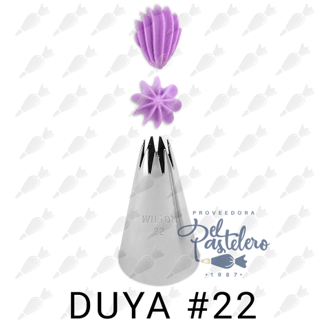 Duya - #22 - Wilton