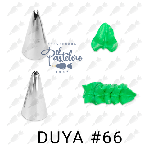 Duya - #66 - Wilton